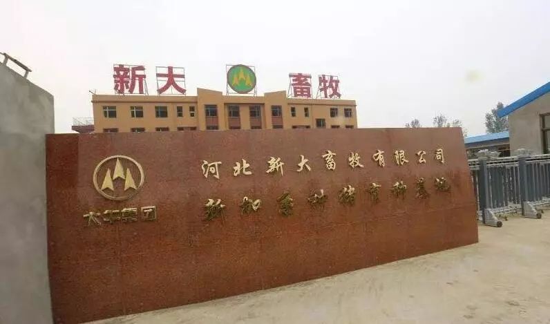非洲保定区发生徐水鹌鹑桂圆!疫情蛋猪瘟汤小孩能喝吗图片