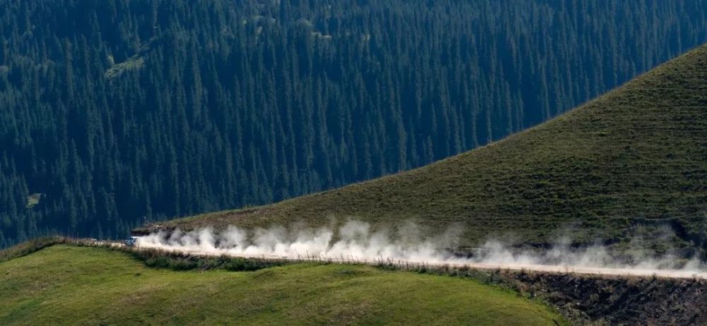 2019春节档票房竞猜结果,冠军就是…