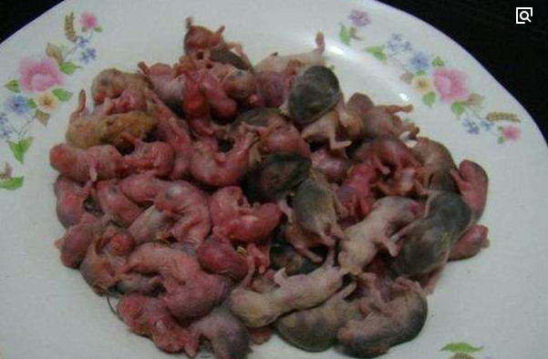 广东人吃老鼠算什么!看看越南人的做法!看到成