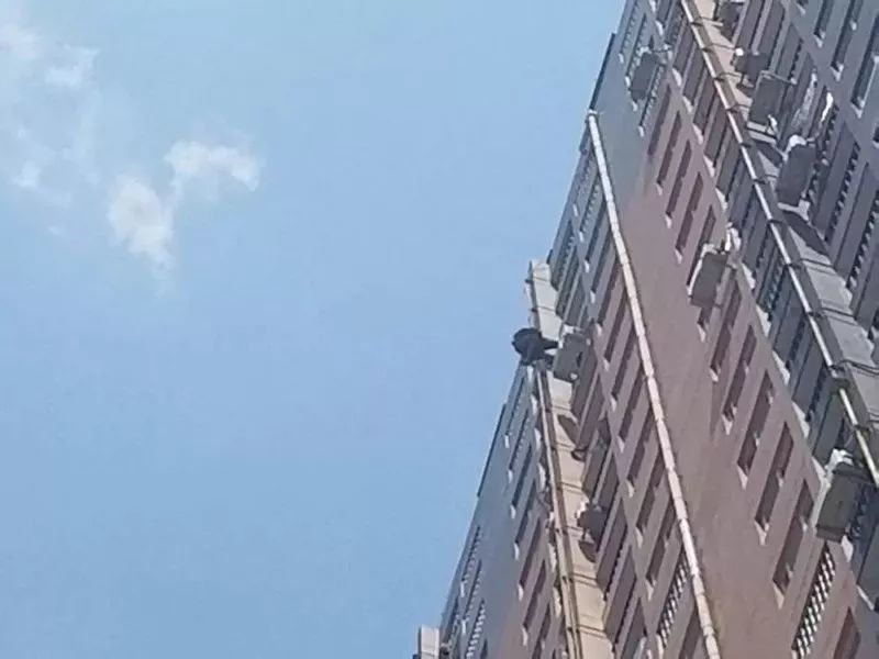 电梯楼和步梯楼哪个好?电梯楼应该选几层?