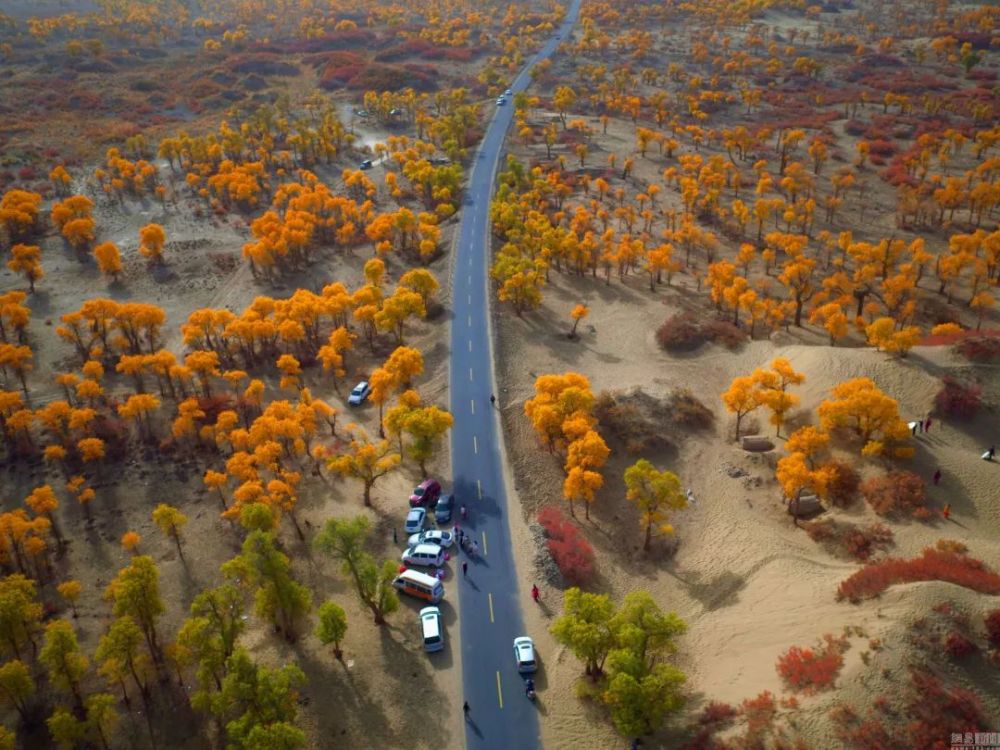 塔里木沙漠公路