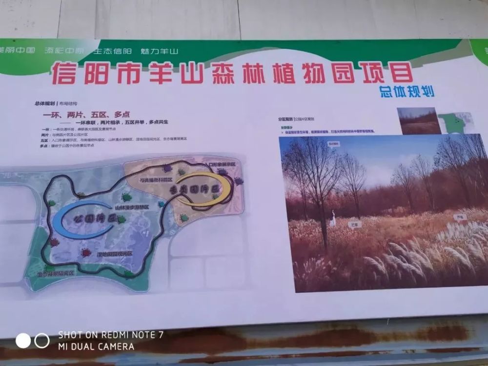 39亿元,你关注的羊山森林植物园建设进展怎么