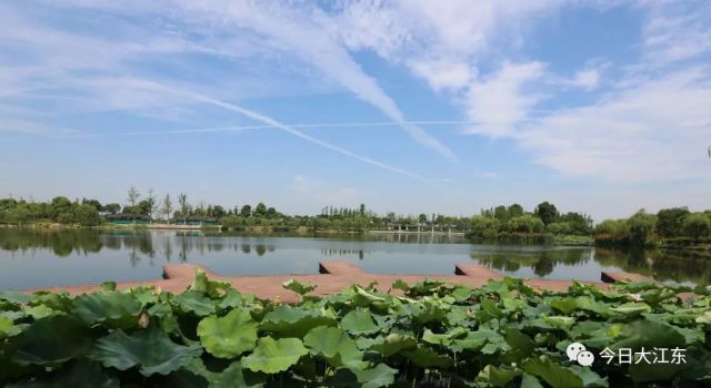 东沙湖!大江东东湖从此易新名!