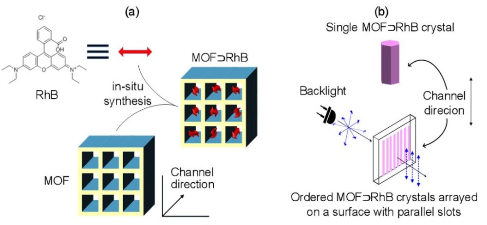 图1(a)mofrhb的分子结构示意图,(b) mofrhb晶粒阵列偏振发光示意图