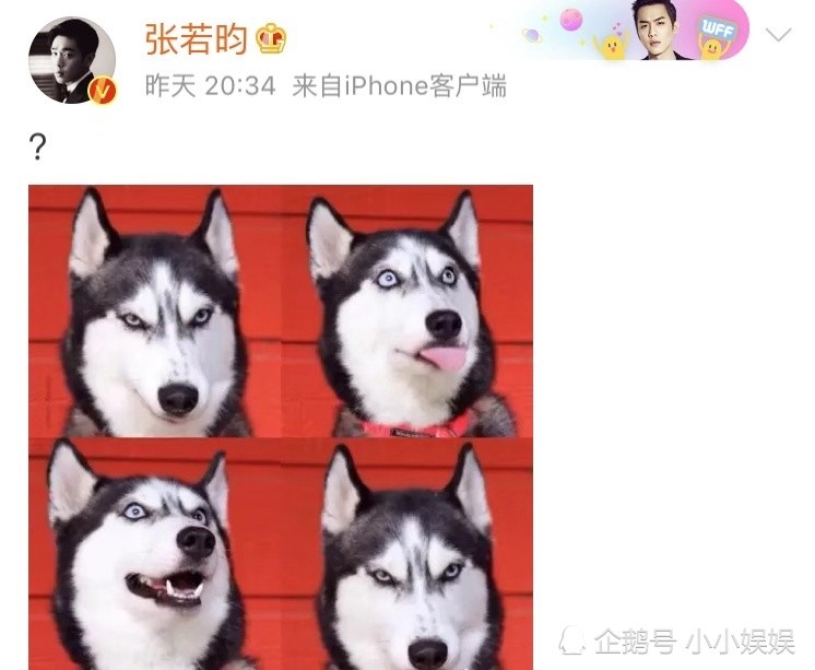 唐艺昕否认怀孕,张若昀发四宫格默默秀恩爱,一