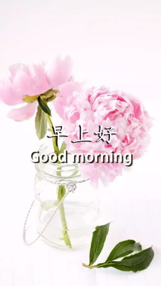 2.27最美早上好问候图片带字 新的一天早安心语心情说说短句