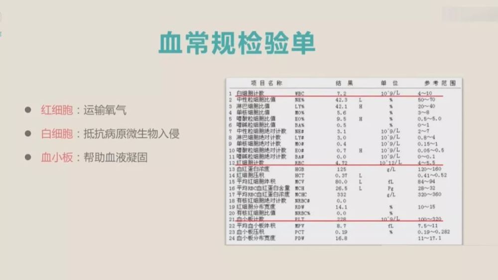 单核细胞计数高 腾讯网