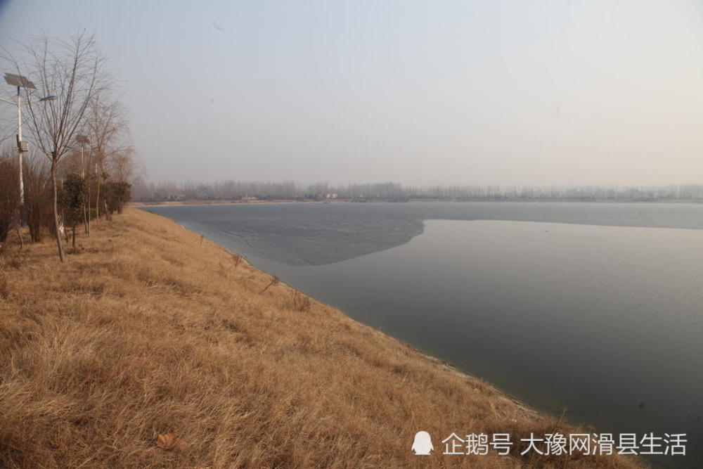 滑县西湖冬季景色,别样的美丽