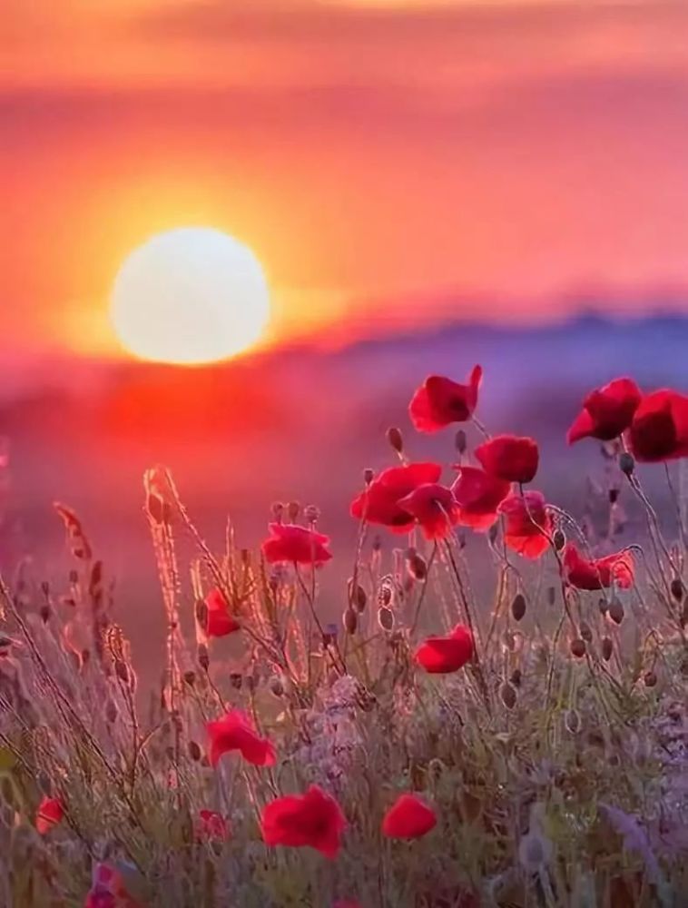 人生若梦简谱_若梦周深简谱(5)