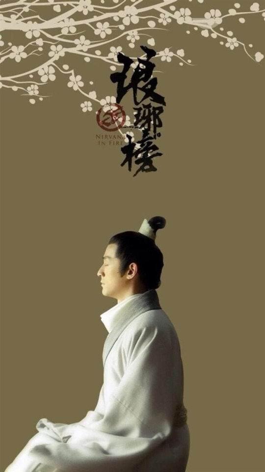 壁纸分享:琅琊榜梅长苏唯美海报壁纸,喜欢的朋友可以看一下