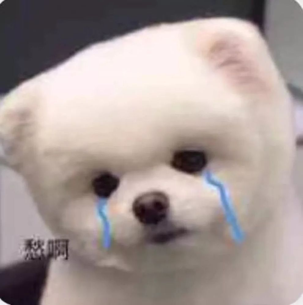 愁啊(流泪狗子)