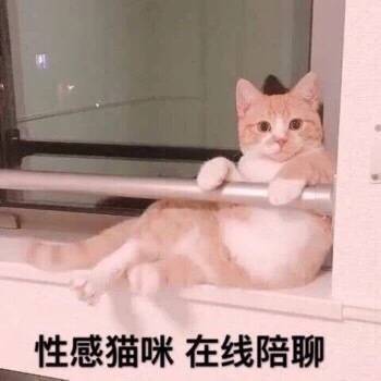 萌萌哒聊天必备沙雕表情包,斗图不再怕