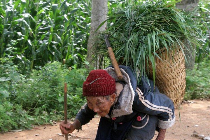 秋冬容易干燥 不要使用加湿器 来试下高级补水法 看点快报