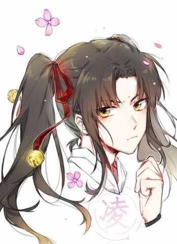 当魔道祖师的角色被娘化之后,金凌大小姐好可爱,他真让人受不了