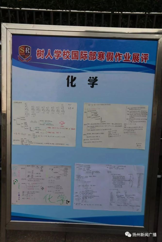 常苏扬 王曹莅  陈高城  刘明喆   黄昊 高一国际滑铁卢班 周武晨  钱