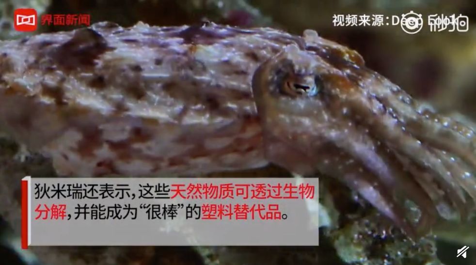 首个5G套餐被曝光;华为回应美国质疑;日本启用