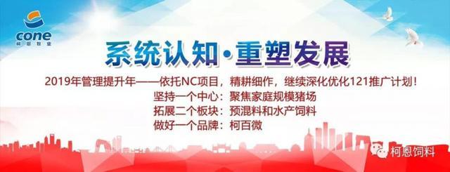 春天来了!柯百微来了,柯恩赣州新总部来了