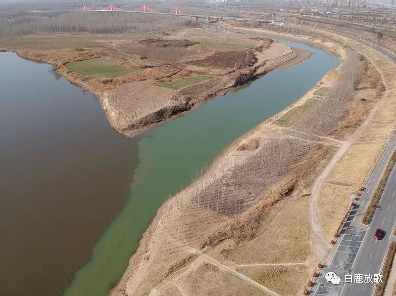 陕西泾渭分明湿地博览园座谈会正月二十三在高陵区召开