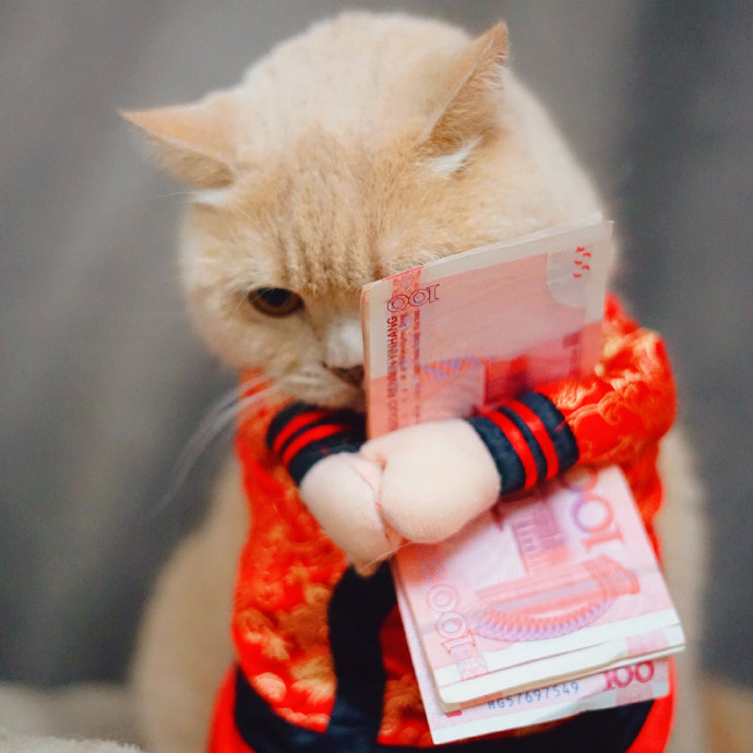 超可爱猫猫狗狗头像大合集