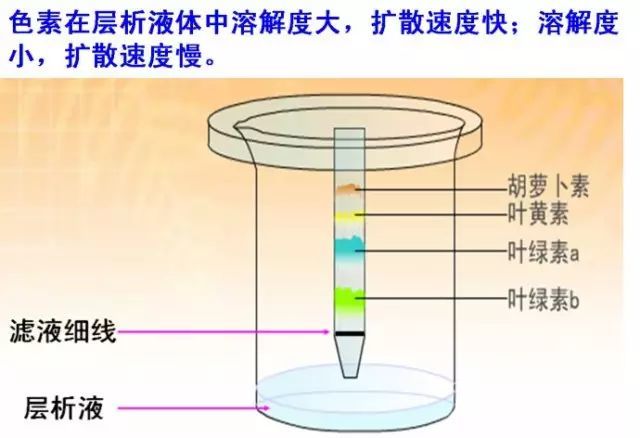 双口炸七不炸八是什么原理_幸福是什么图片