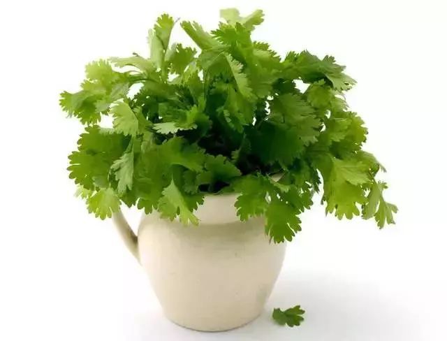 口腔异味难忍?看看是什么原因让你臭名远播