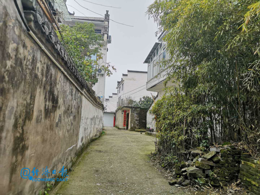 谁来兴村?引才难、留才难已成制约农村发展突