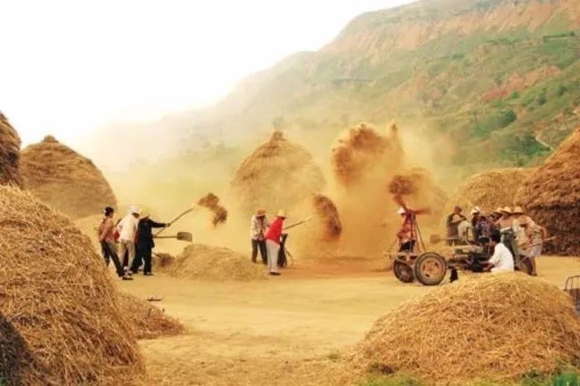 淄博农村有打麦场的日子,你还记得吗?