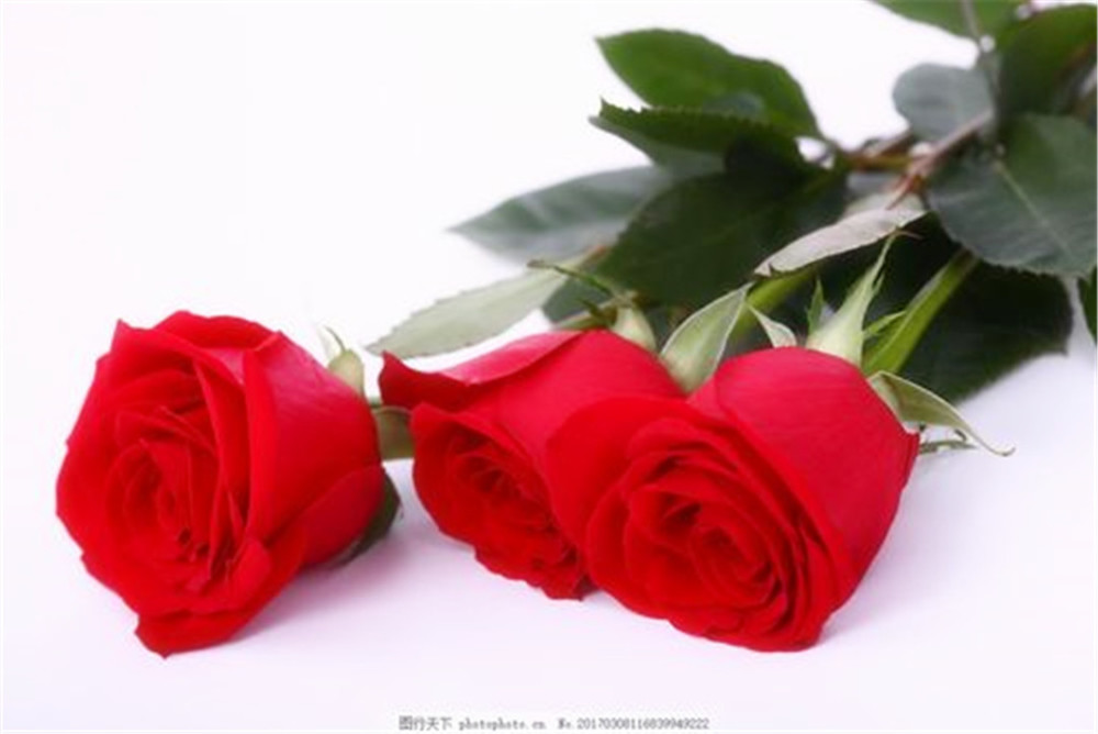 微信里,女人对男人发三朵玫瑰花的表情什么意思?真相