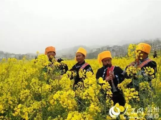 安顺这几个"神仙"处,樱花,李花,桃花.要开了,约起