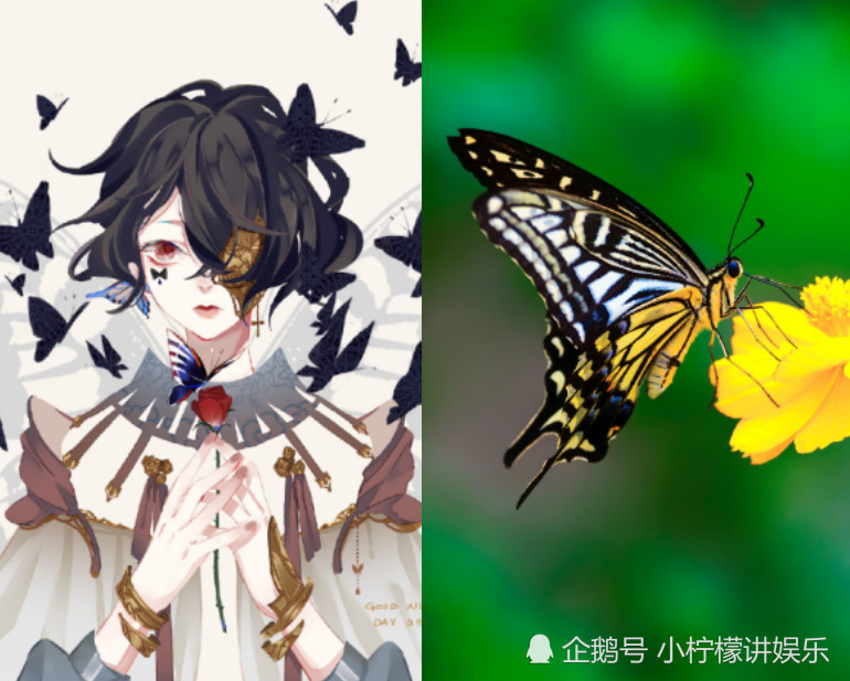 动物"拟人化"后,个个都是美男,被优雅的"丹顶鹤"撩到了!