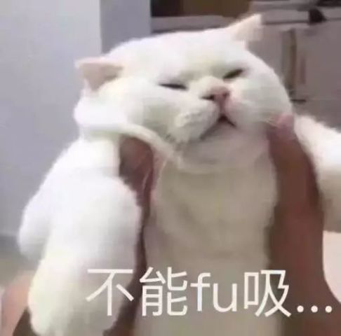 640