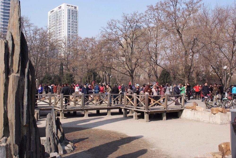 沈阳市百鸟公园一片生气盎然