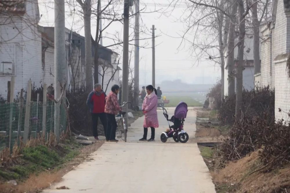 丰县顺河镇师新庄村孙岔楼:11姓之村,处处彰显着温馨