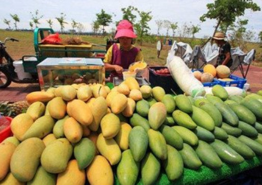 巴基斯坦水果滞销,我国一个决定让某些国家眼