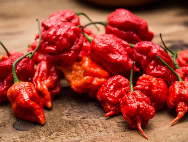辣椒辣度排名_辣椒辣度图片(2)