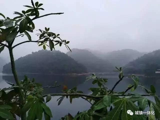广东长寿人口_健康长寿图片