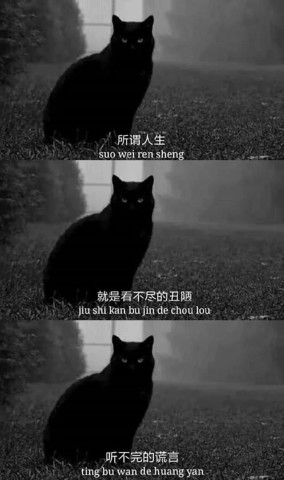 ins·丧系·背景图:你别看这么多单身,很多都在等得不