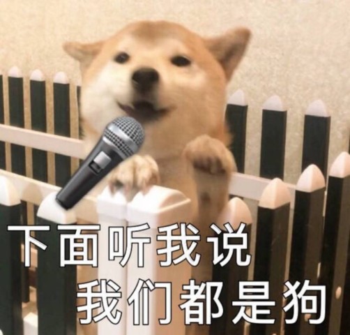 最近超火的