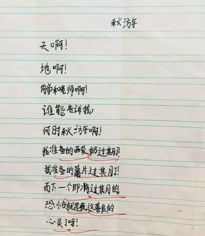 小学生写的几首诗,老师看后赞叹不已,网友:比大学生还有才华