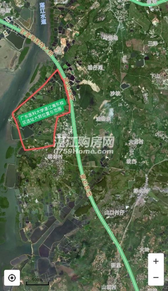 海东新区又落一子:广东医科大学新校区选址批前公示