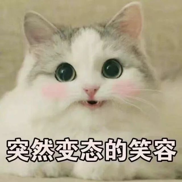 突然变态的笑容(猫咪)