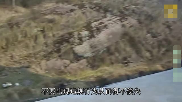 三人口土_人口普查(3)