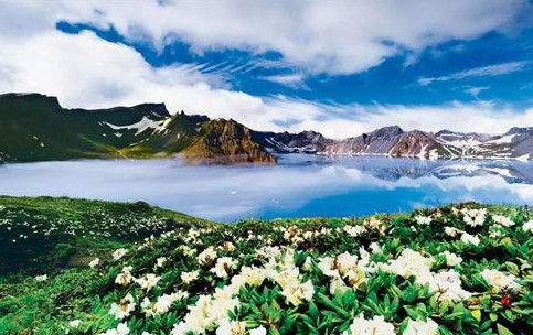 堪称国内最冷清的万达广场,耗资280个亿,生意