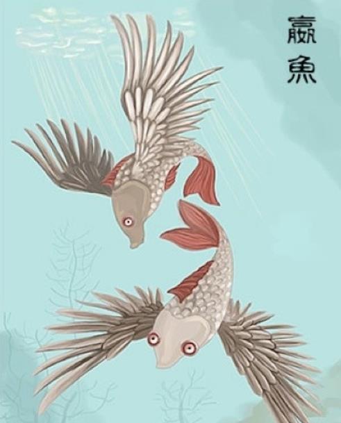 山海经,鲛人,黄龙