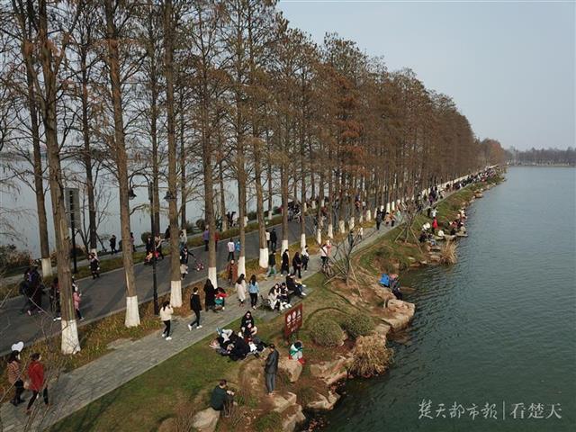 流浪太陽(yáng)終于歸來(lái)！江城賞花踏青人氣爆棚(圖2)