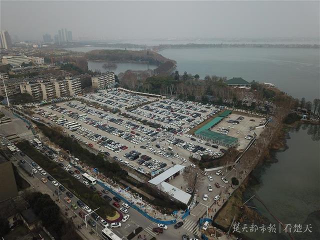 流浪太陽(yáng)終于歸來(lái)！江城賞花踏青人氣爆棚(圖3)