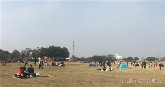 流浪太陽(yáng)終于歸來(lái)！江城賞花踏青人氣爆棚(圖5)
