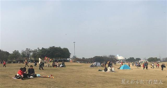 流浪太陽終于歸來！江城賞花踏青人氣爆棚(圖5)