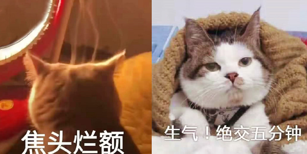 耐思·表情包:对你,是那种想你就红到耳朵尖,掩面爆炸