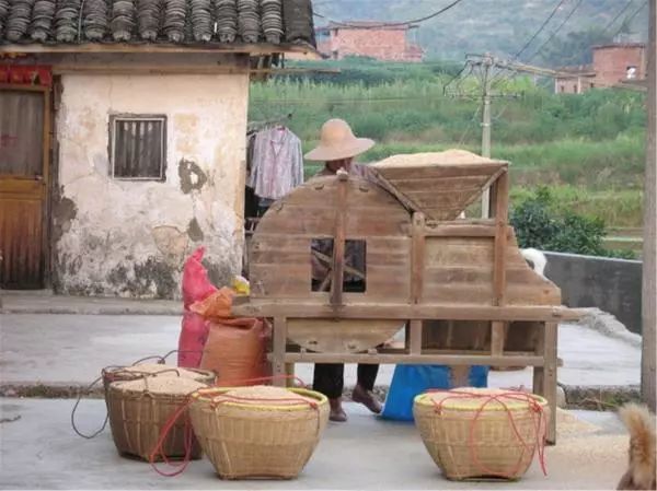 可以说是和平农村最常用的工具,现在还会用竹子编畚箕的基本都是些